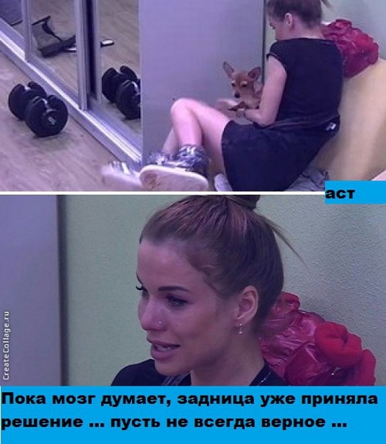 Приколы Дом-2 (4.02.2017) Приколы Дом-2 (4.02.2017)