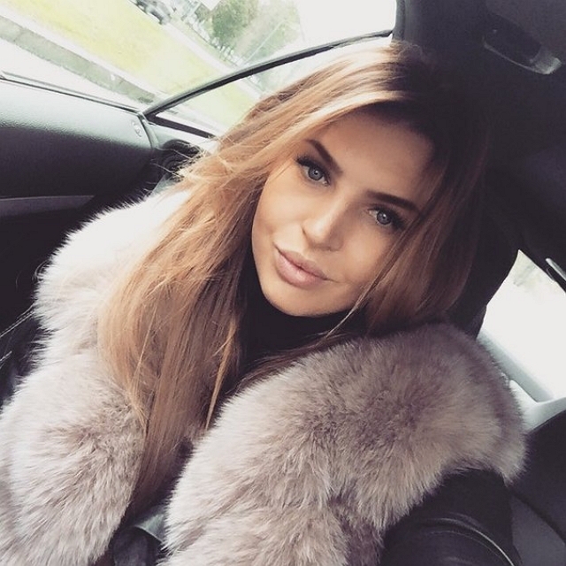 Новости проекта на 7.02.2017 от Кота Баюна Новости проекта на 7.02.2017 от Кота Баюна