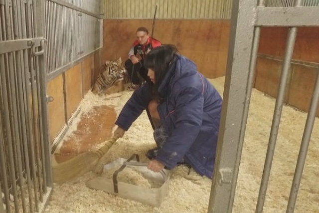 В новом телешоу Нелли Ермолаева рискует жизнью В новом телешоу Нелли Ермолаева рискует жизнью