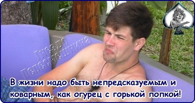 Приколы Дом-2 (8.02.2017) Приколы Дом-2 (8.02.2017)