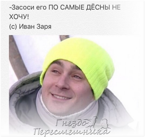 Новая подборка перлов (28.02.2017) Новая подборка перлов (28.02.2017)