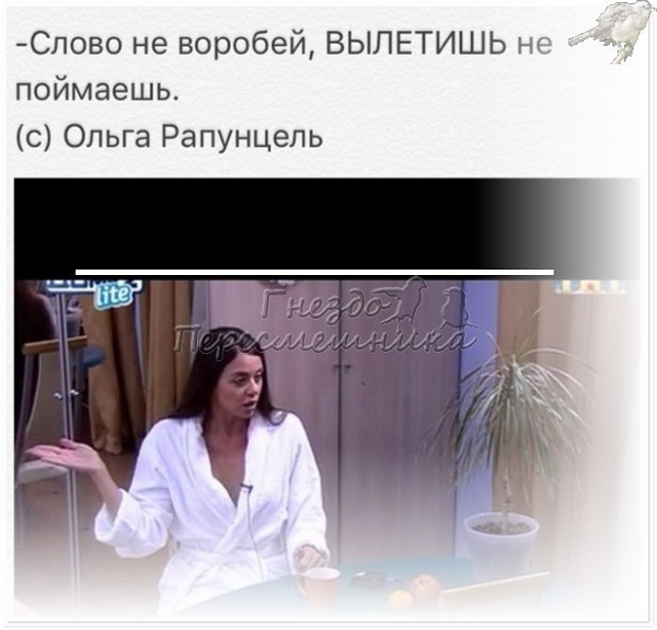 Новая подборка перлов (28.02.2017) Новая подборка перлов (28.02.2017)