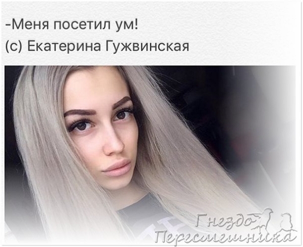 Новая подборка перлов (28.02.2017) Новая подборка перлов (28.02.2017)