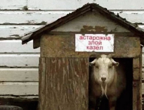 Мнение: Черкас Ермакович обманул насчет приличных участников Мнение: Черкас Ермакович обманул насчет приличных участников