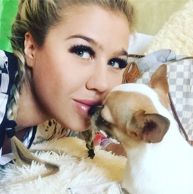 ���� �� ���������� (13.03.2017)