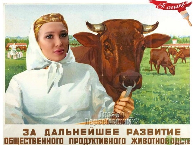 ������: ������� ����� ����� ���������