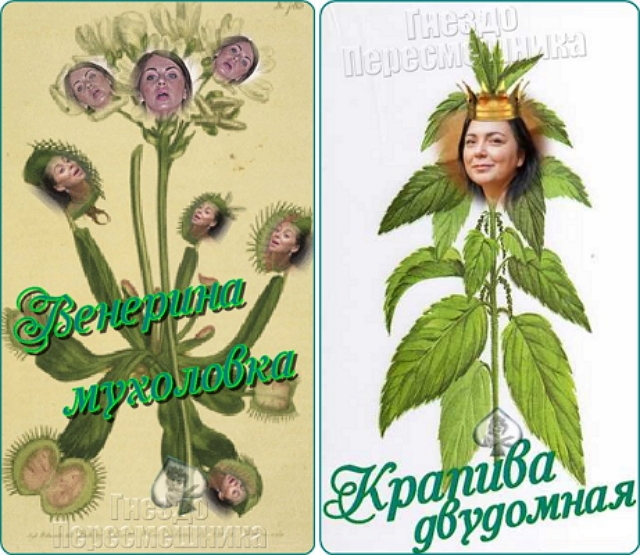 ������� ���-2 (27.03.2017)