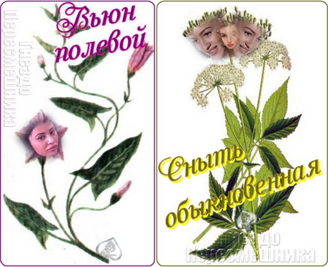 ������� ���-2 (27.03.2017)