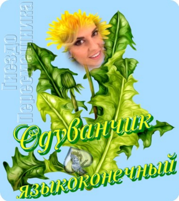 ������� ���-2 (27.03.2017)