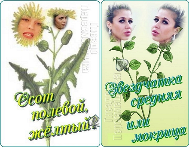 ������� ���-2 (27.03.2017)