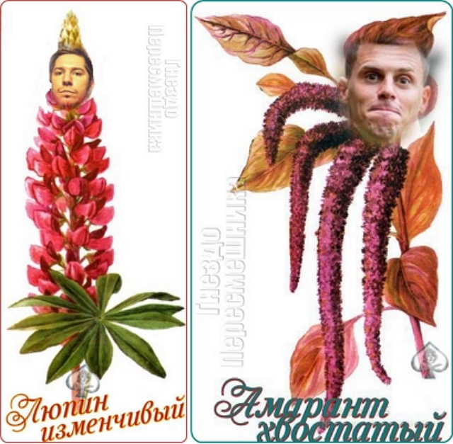 ������� ���-2 (27.03.2017)