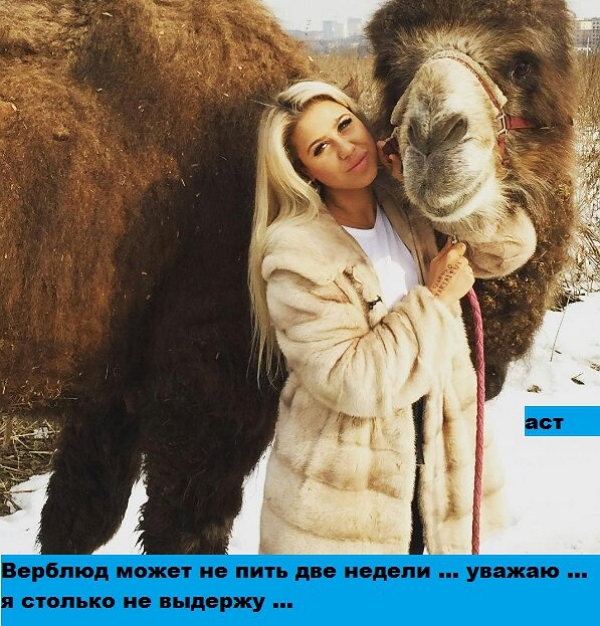 Приколы Дом-2 (13.04.2017) Приколы Дом-2 (13.04.2017)