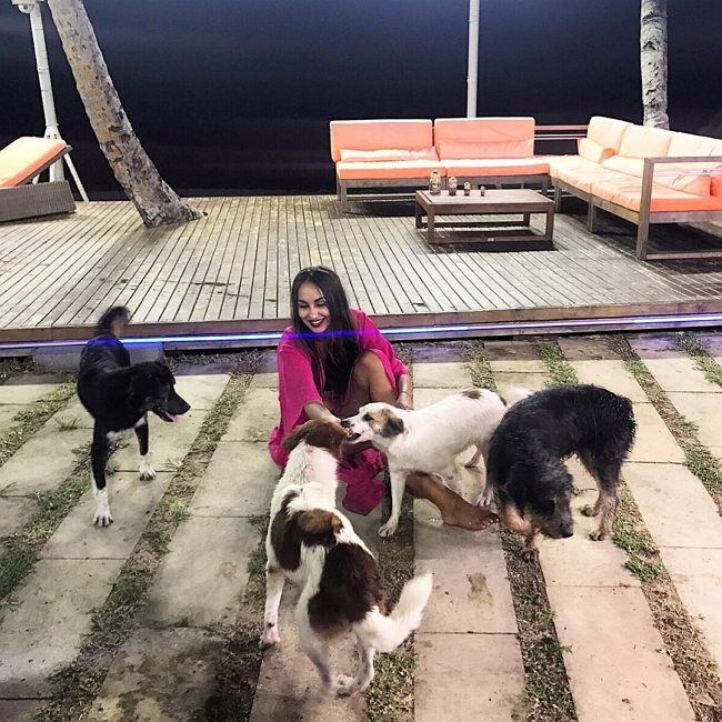 ���� � ������ �� ���������� (16.04.2017)