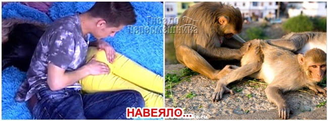 Приколы Дом-2 (17.04.2017) Приколы Дом-2 (17.04.2017)