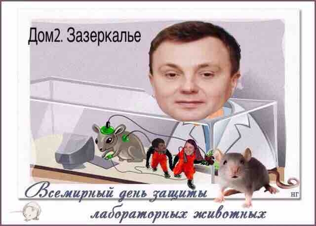 Приколы Дом-2 (27.04.2017) Приколы Дом-2 (27.04.2017)