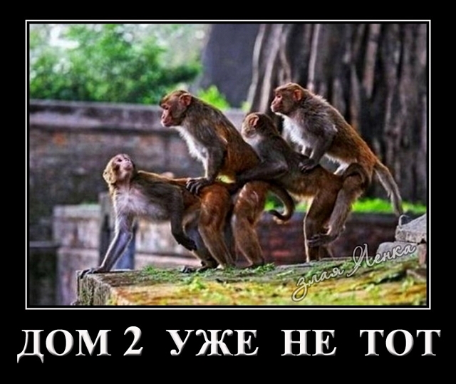 Приколы Дом-2 (28.04.2017) Приколы Дом-2 (28.04.2017)