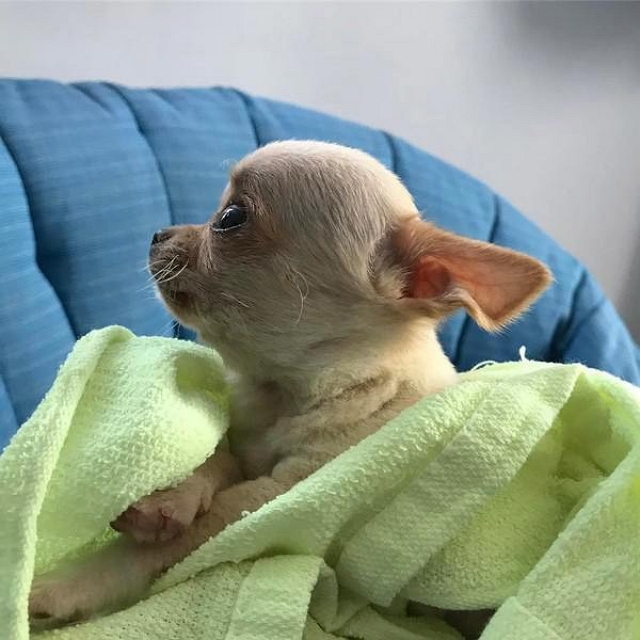 Ирину Агибалову постигла невосполнимая утрата Ирину Агибалову постигла невосполнимая утрата