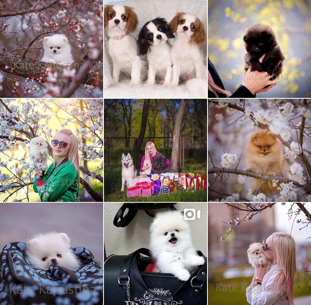 Ирину Агибалову постигла невосполнимая утрата Ирину Агибалову постигла невосполнимая утрата