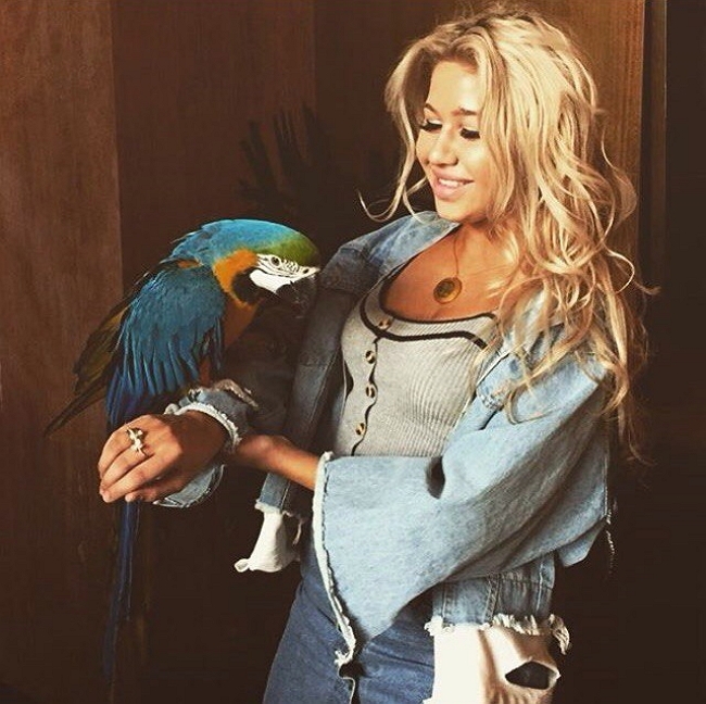 ���� �� ���������� (3.05.2017)