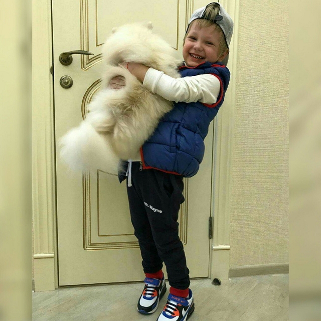 ���� ����� ���������� ����-2 (5.05.2017)