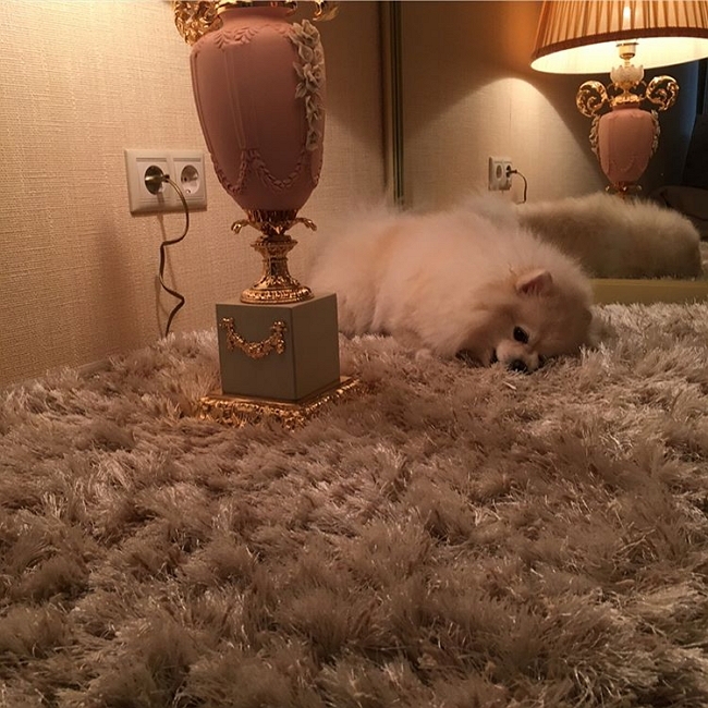 ������� ������������ �� ������ ����� �� ����� ��������