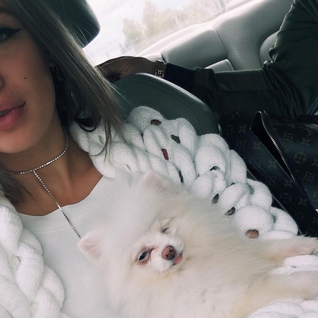 ���� ���������� ���������� ��������