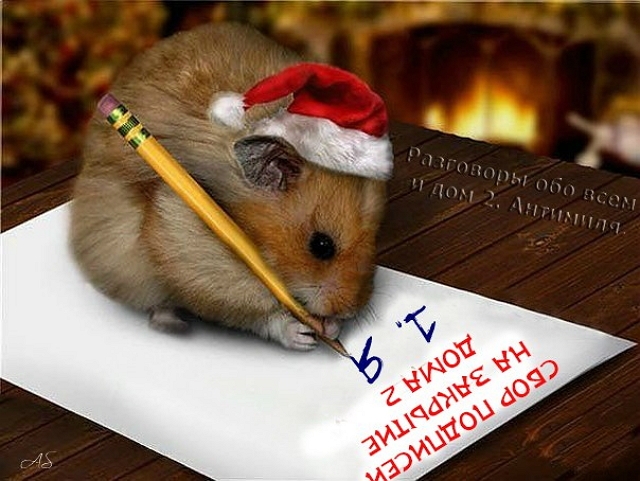 ������� ���-2 (17.05.2017)