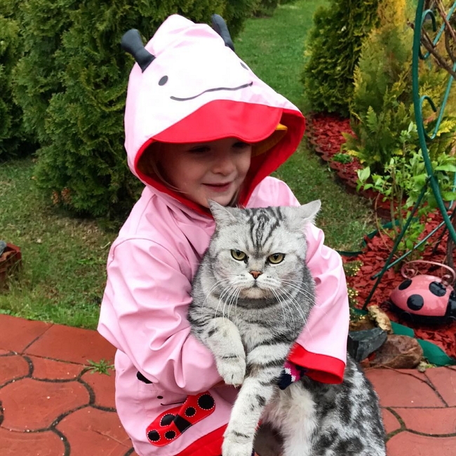 ���� ����� ���������� ����-2 (19.05.2017)