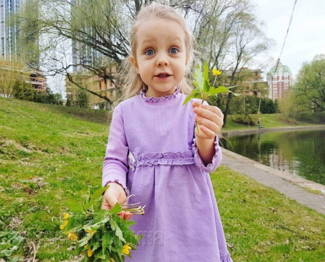 ���� ����� ���������� ����-2 (21.05.2017)