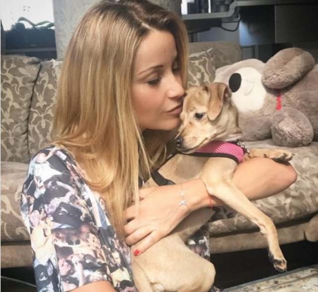 ����� ������ ���������� � ���������� � ����� �����