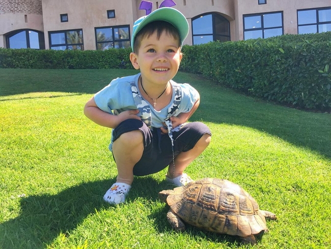 ���� ����� ���������� ����-2 (30.05.2017)