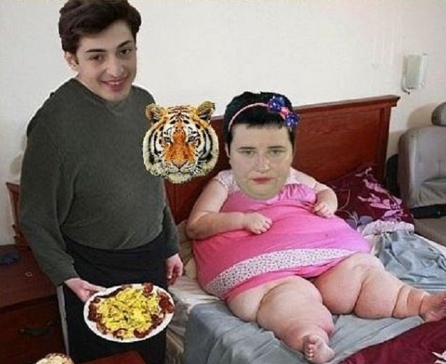 ������ ��� ��������� ���