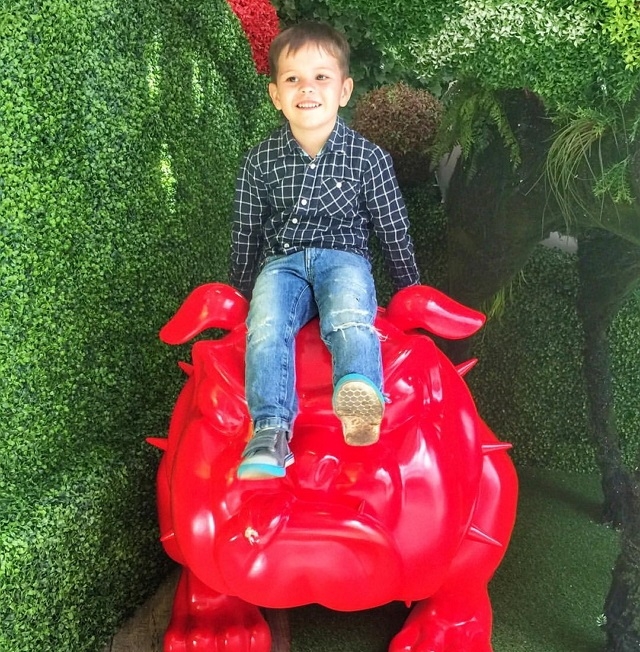 ���� ����� ���������� ����-2 (2.06.2017)