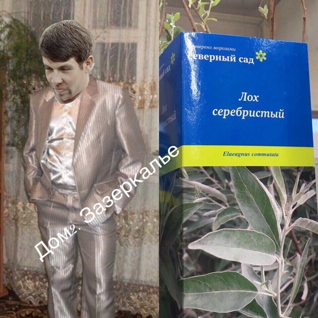 Приколы Дом-2 (10.06.2017) Приколы Дом-2 (10.06.2017)