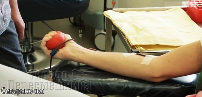 От Редакции: Рапунцель помогла больным детям От Редакции: Рапунцель помогла больным детям