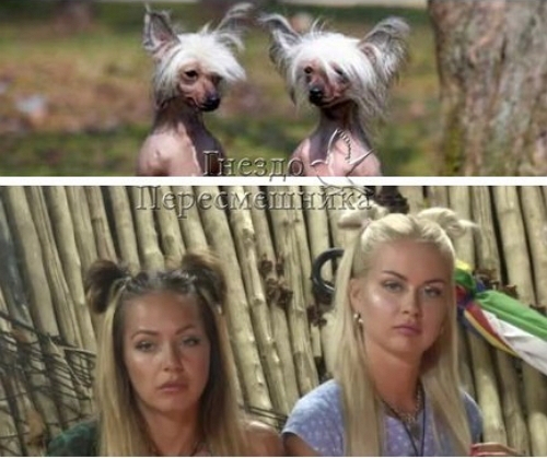 ������� ���-2 (20.06.2017)