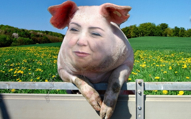 Приколы Дом-2 (1.07.2017) Приколы Дом-2 (1.07.2017)