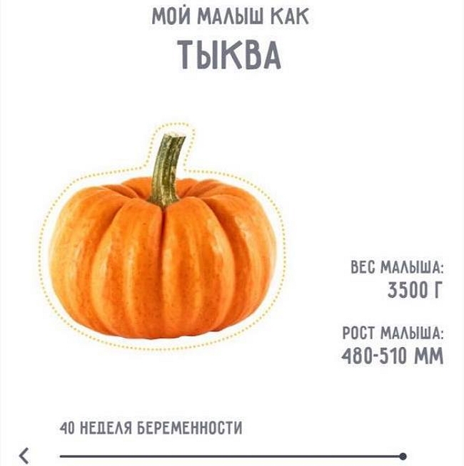 Новости проекта на 1.07.2017 от Кота Баюна Новости проекта на 1.07.2017 от Кота Баюна