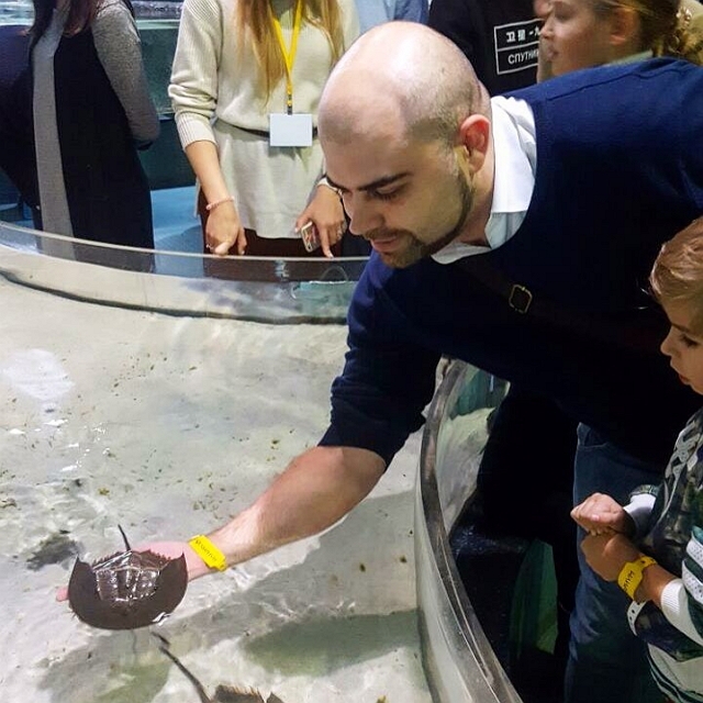 Жизнь после шоу: Илья Гажиенко Жизнь после шоу: Илья Гажиенко