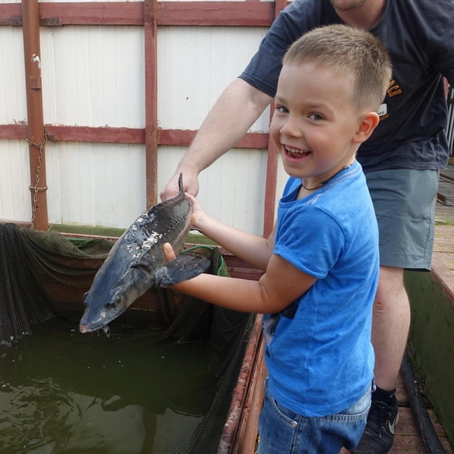 ���� ����� ���������� ����-2 (30.07.2017)