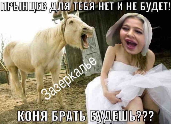 Стихи от зрителей о проекте (9.08.2017) Стихи от зрителей о проекте (9.08.2017)