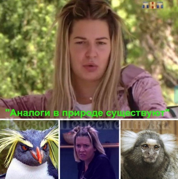 Мнение: Майка само очарование Мнение: Майка само очарование