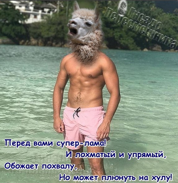 ������� ���-2 (24.08.2017)