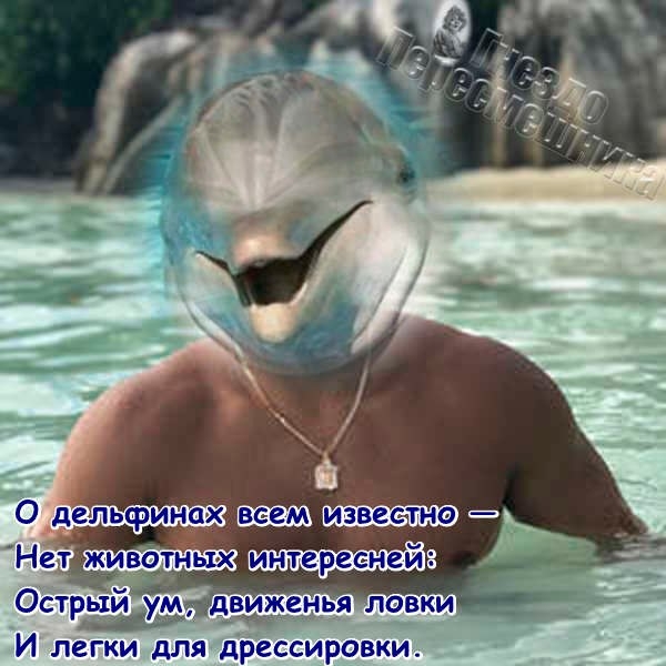 ������� ���-2 (24.08.2017)