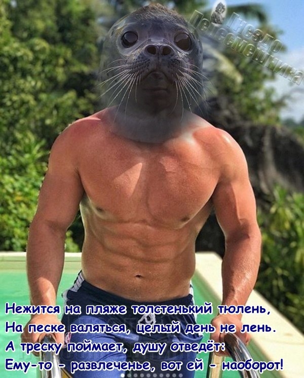 ������� ���-2 (24.08.2017)