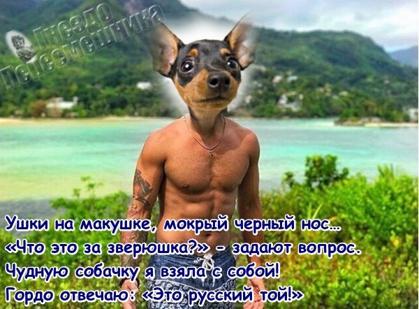 ������� ���-2 (24.08.2017)