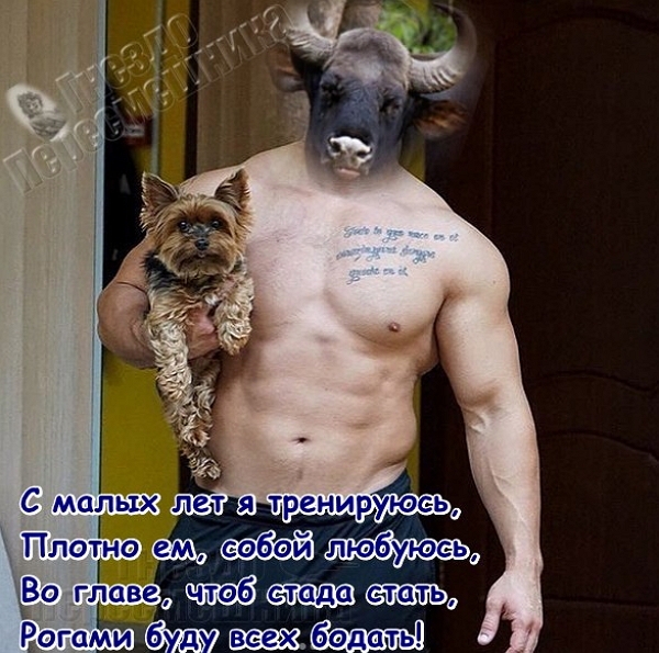 ������� ���-2 (24.08.2017)