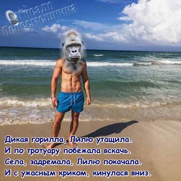 ������� ���-2 (24.08.2017)