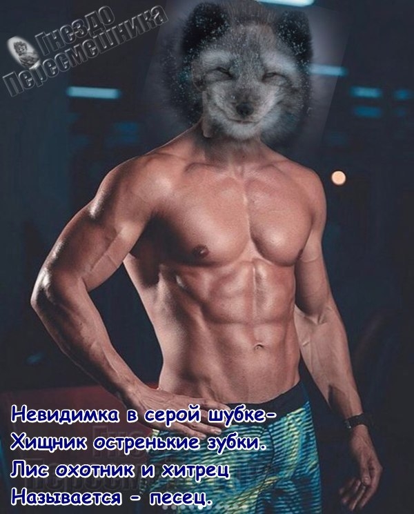 ������� ���-2 (24.08.2017)