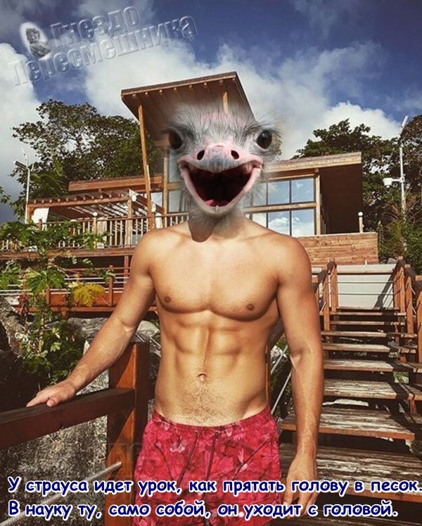 ������� ���-2 (24.08.2017)